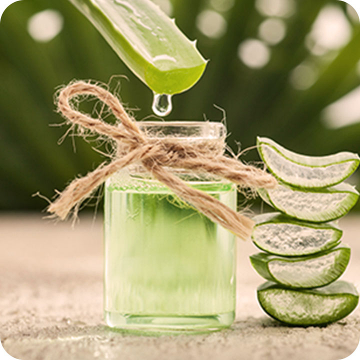 Aloe vera: conheça todos os seus benefícios para a pele | Bioage